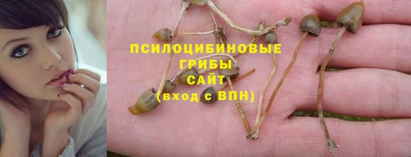 крисы Балахна