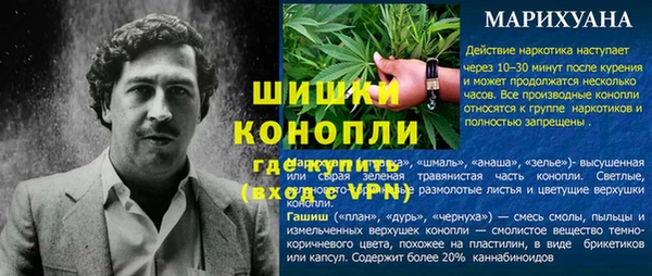 apvp Богданович